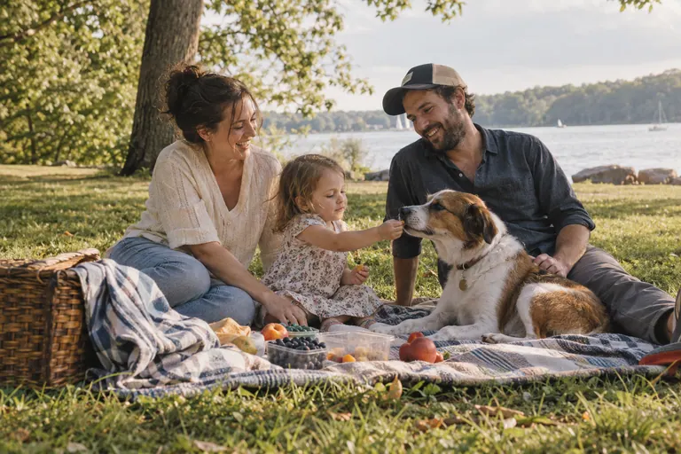 Família e cachorro em um piquenique no parque; estudo visual
